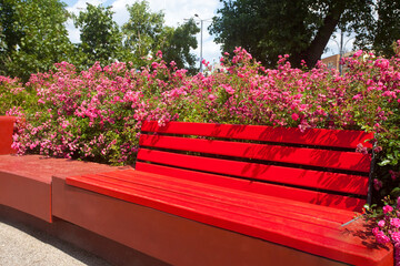 Czerwona ławka w parku z różami.  Red bench in the park with roses. © 123108 Aneta