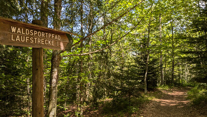 A guide post "Forest sports trail, running route 1" in the forest of Climatic health resort H&ouml;chenschwand, High Black forest - Germany
