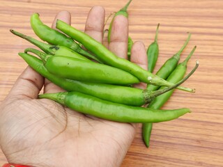 Green chilies holding in hand, selective focus 