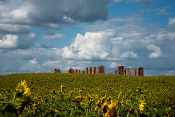 many yellow sunflowers on the background of stonehenge on a hilltop on a cloudy day