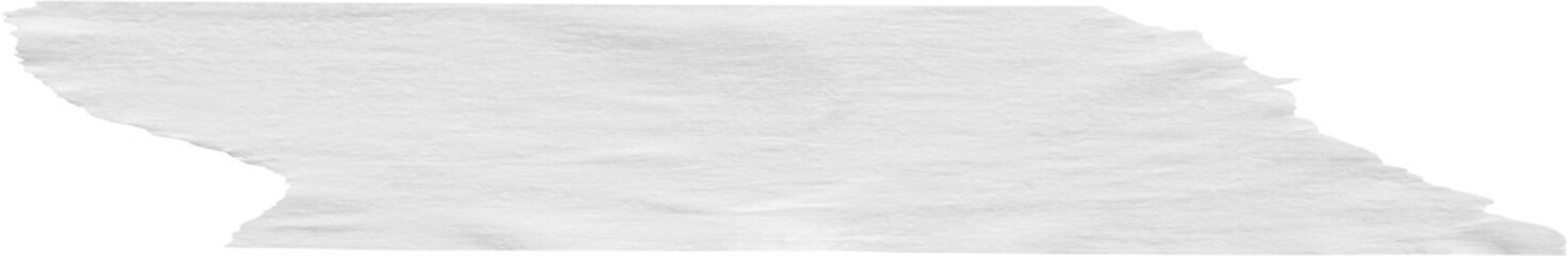 Obraz premium White adhesive paper tape isolated on white background