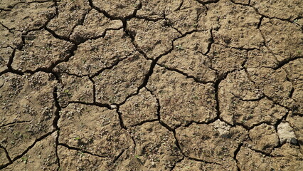 Earth cracked by extreme drought