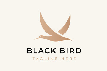 Flying birds logo design vector