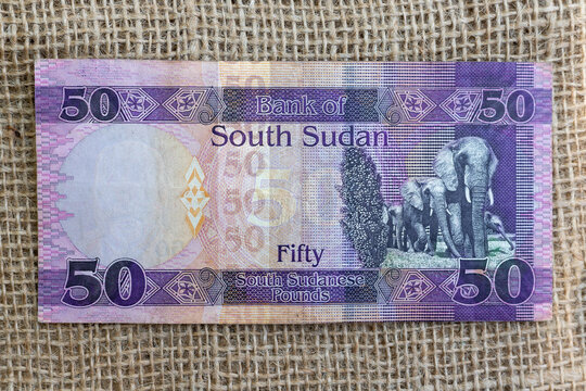 South Sudan fifty pounds banknotes reverse featuring elephants