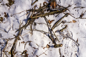 Spring ground covered with thawing snow. Melting ice on dry grass close up.