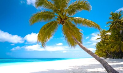 Coastal landscape featuring white sand, palm trees, and turquoise waters. Ideal for a travel banner.