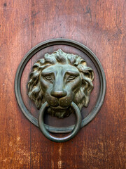 Old antique wooden door   decorated with a metal lion head door handle, knob, close-up