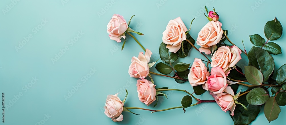 Aufkleber Arrangement of roses set against a colored background Overhead top view flat lay Copy space Concepts for birthday Mother s Day Valentine s Day Women s Day or Wedding Day