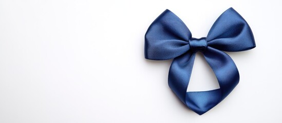 Blue ribbon bow shaped like a heart isolated on a white background. with copy space image. Place for adding text or design