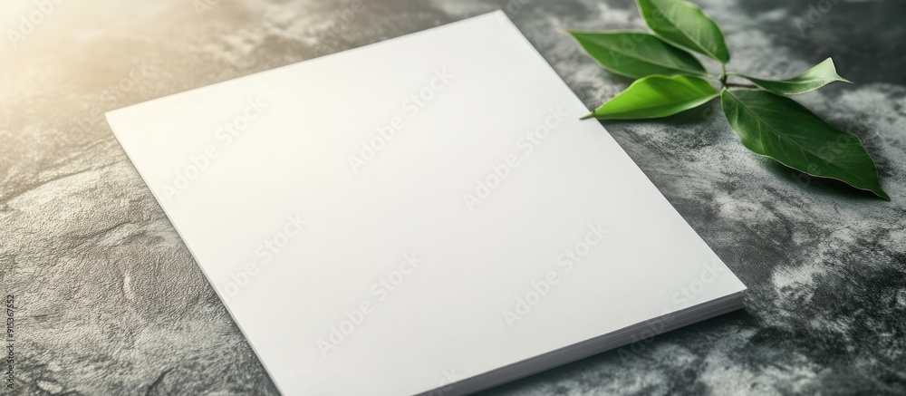 Aufkleber blank sheet of paper and green leaf for notes. with copy space image. Place for adding text or design