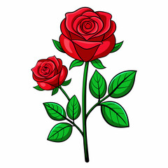 Roses Vector illustration on a White Background