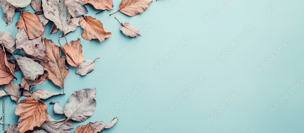 Aufkleber autumn leaves in a dried state on a pastel background flat lay top view copy space