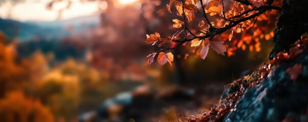 Fall forest, natural beauty, vibrant foliage, serene