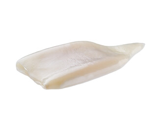 Raw squid tube isolated on white background. Fresh seafood isolated.