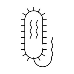 vibrio cholerae line icon vector. vibrio cholerae sign. isolated contour symbol black illustration