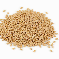 Fototapeta premium Peeled ripe wheat seed, isolated on a white background