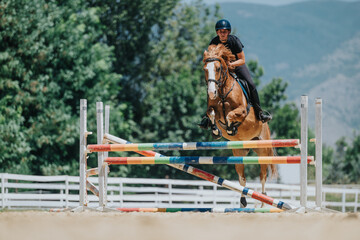Rider and horse demonstrating skill and precision in a show jumping competition, clearing a colorful fence in an outdoor arena on a sunny day.