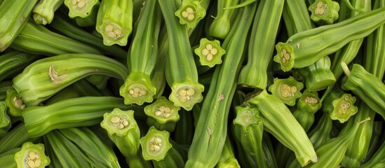 Obraz premium Okra also known as Okro or Abelmoschus esculentus is referred to as ladies fingers or ochro in various English speaking nations It is a flowering plant belonging to the mallow family