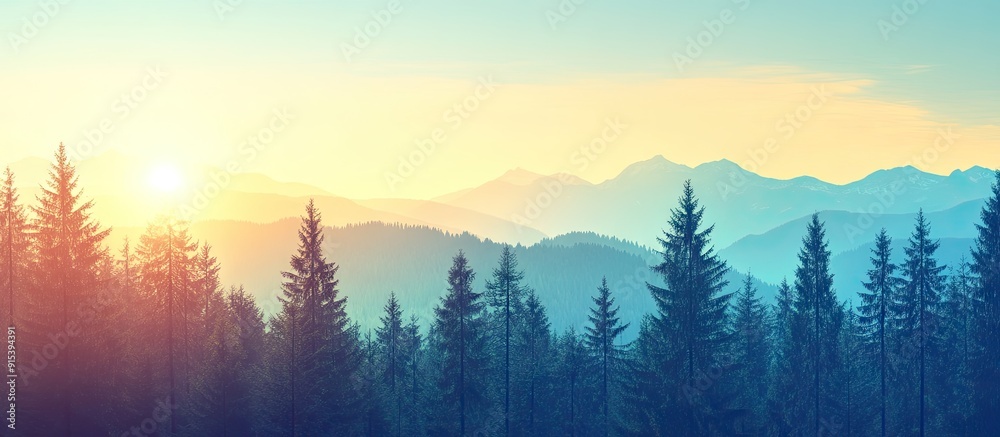Leinwandbilder stunning wild fir and pine trees set against a beautiful sky and the outline of the mountains. with 