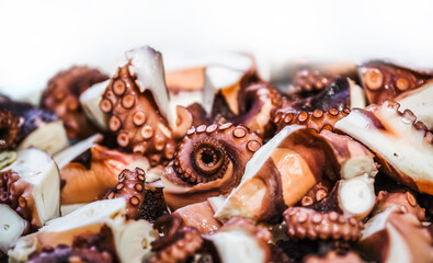 Seafood. Pieces of fresh octopus for cooking