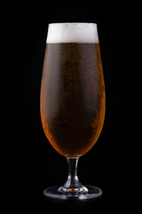 Lager on Black Background 