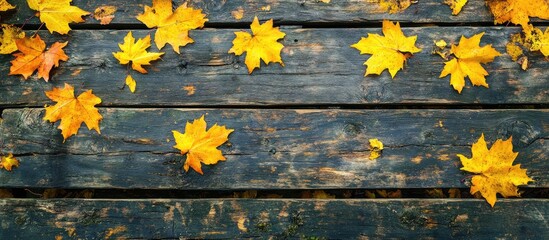 Fototapeta premium Autumn background featuring yellow maple leaves on a rustic wood surface with copy space