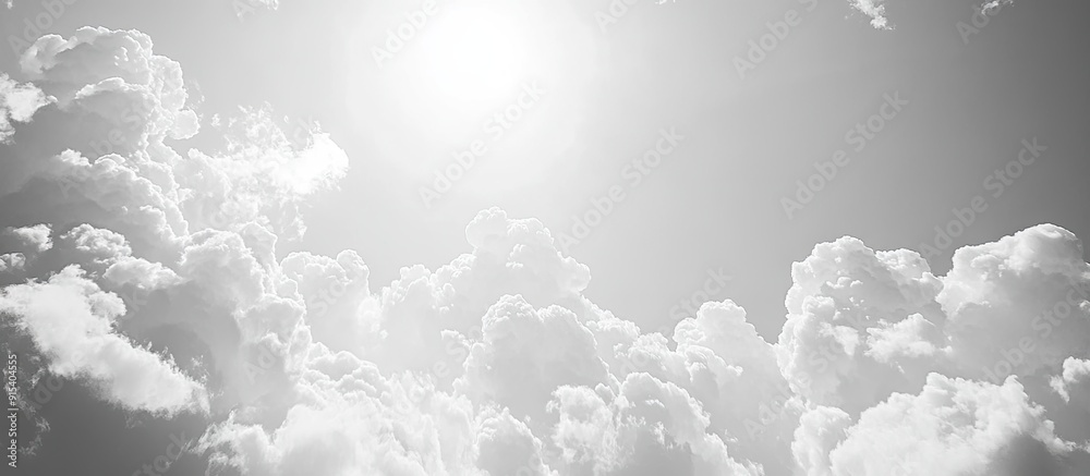 Leinwandbilder Outline against a cloudy sky. with copy space image. Place for adding text or design