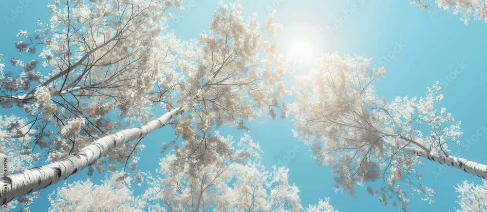 Poster Trees featuring white leaves against a blue sky. with copy space image. Place for adding text or design