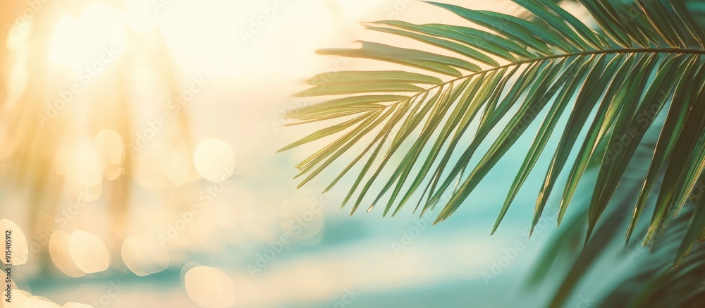 Aufkleber blurred view of a beautiful green palm leaf on a tropical beach with bokeh sunlight and waves creati