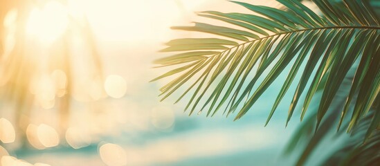 Blurred view of a beautiful green palm leaf on a tropical beach with bokeh sunlight and waves creating an abstract background Copyspace for summer vacation and business travel ideas Vintage tone filte
