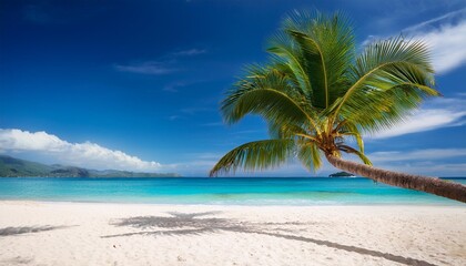 Obraz premium beach with palm trees,Beautiful sand beach with palm tree,Palm leaves shadows on sand textured background tropical, coconut, element, illustration, island, ocean, sand, sky, water, travel, paradise, 