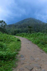 path in the mountains