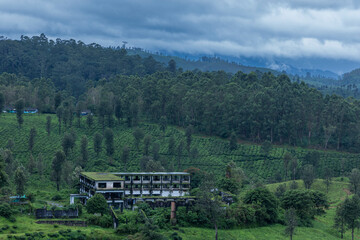view from the mountain