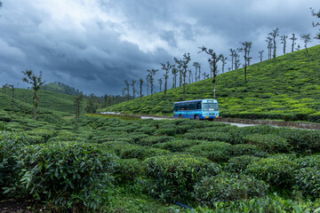 truck in the mountains