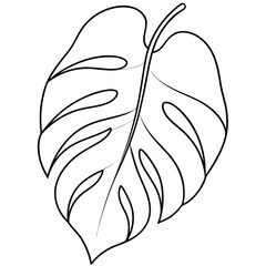 Monstera black and white vector illustration for coloring book