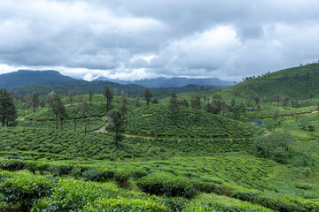 landscape of mountains