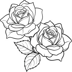 Black and White Roses Coloring Book Vector Line Graphic/Art