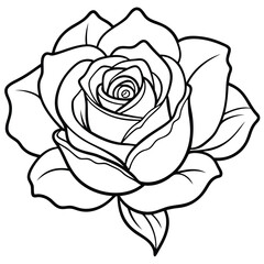Rose vector art illustration, Simple rose blossom illustration and coloring book pages