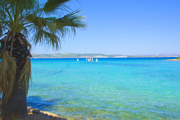 beautiful scene of beach in the summer