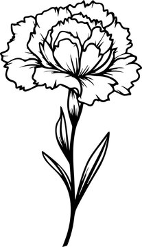 recommend clip art: carnation flower silhouette Vector Illustration