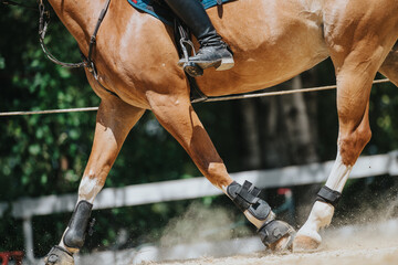 Close-up shot of a rider training a horse outdoors in an equestrian arena, showcasing the horse's...