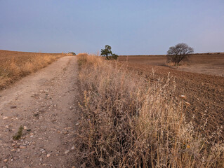 Obraz premium sunrise, landscape, view, nature, light, summer, field, spain, s