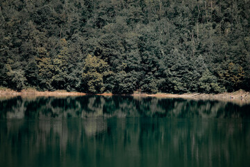 Forest reflection on a clear lake in Hunedoara, Romania