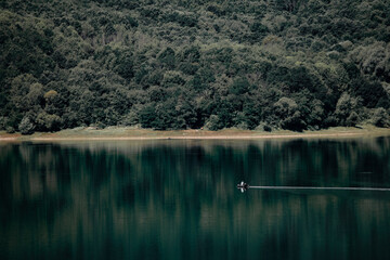 Forest reflection on a clear lake in Hunedoara, Romania