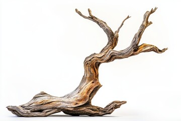 Background of transparent driftwood isolated from twisted driftwood