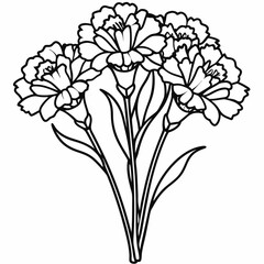 carnation flower vector illustration