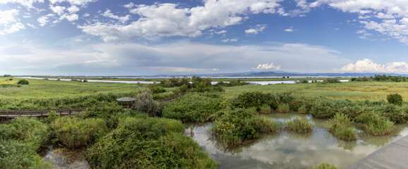 Obraz premium regional nature reserve of the mouth of the Isonzo river ,Friuli Venezia Giulia, Italy