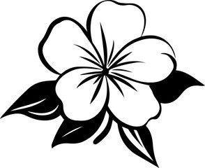 Jasmine flower vector illustration