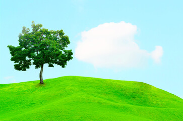 Obraz premium A view of beautiful green field with a tree and fresh grass on a sunny day