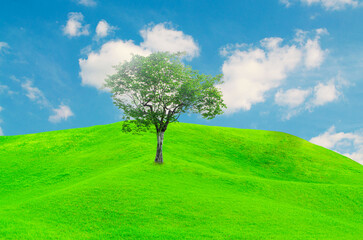 A view of beautiful green field with a tree and fresh grass on a sunny day
